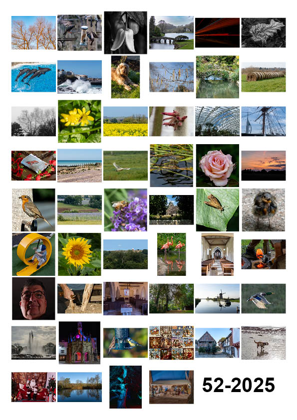 Photography by Chris Allington